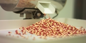Ringler extraction systems