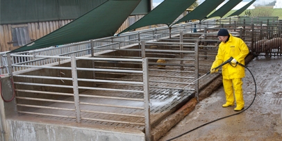 Agriculture